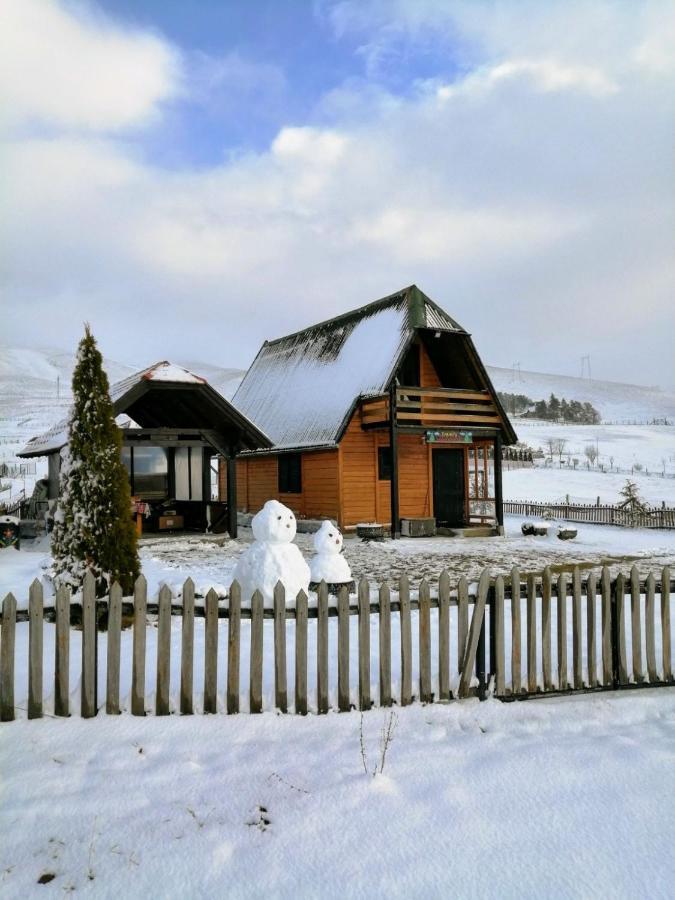 Brvnara Zlatiborka Apartman Kültér fotó